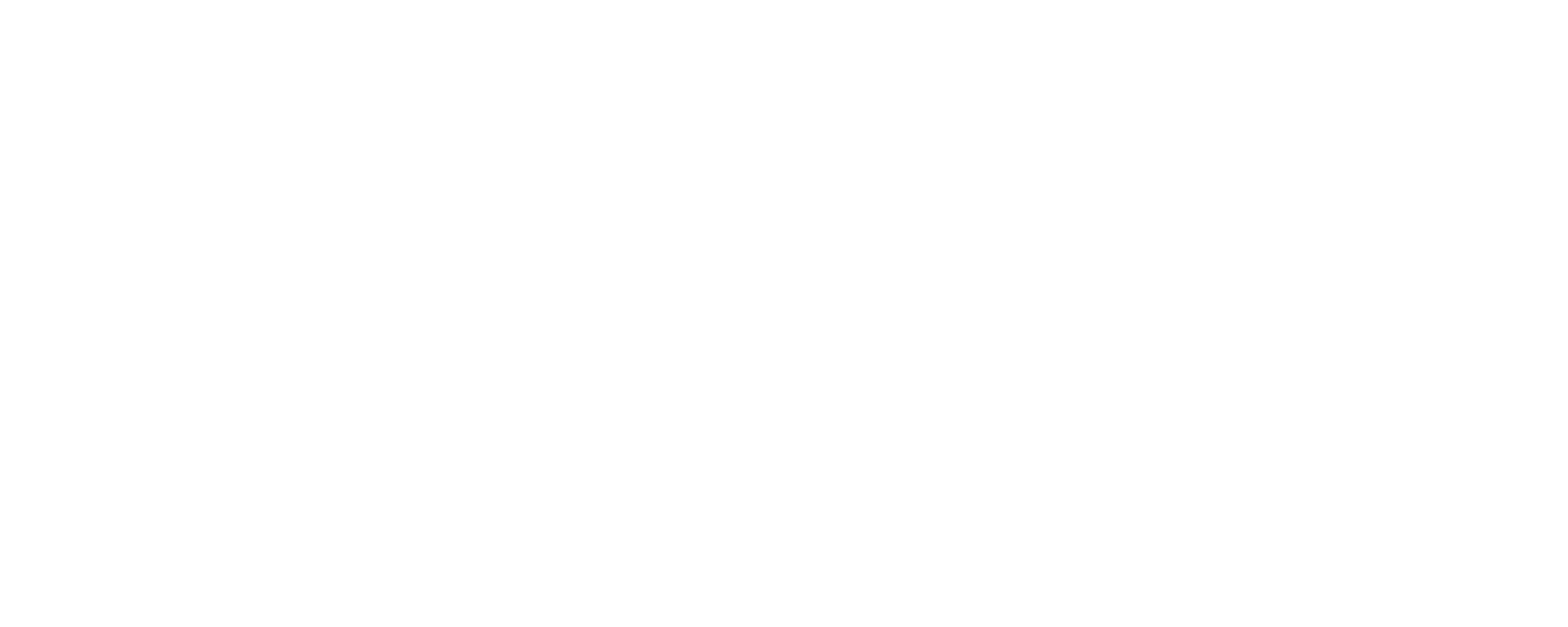 Logo_VintiX-06.png